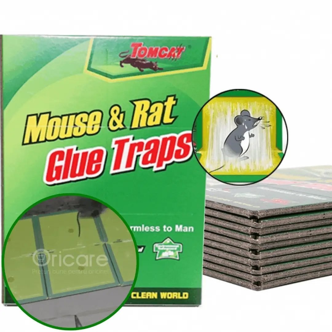 Set 5 capcane soareci